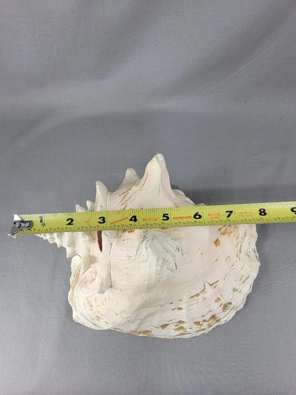 Vtg Natural Conch Seashell Shell Beach Nautical Home Decor Weathered Etched